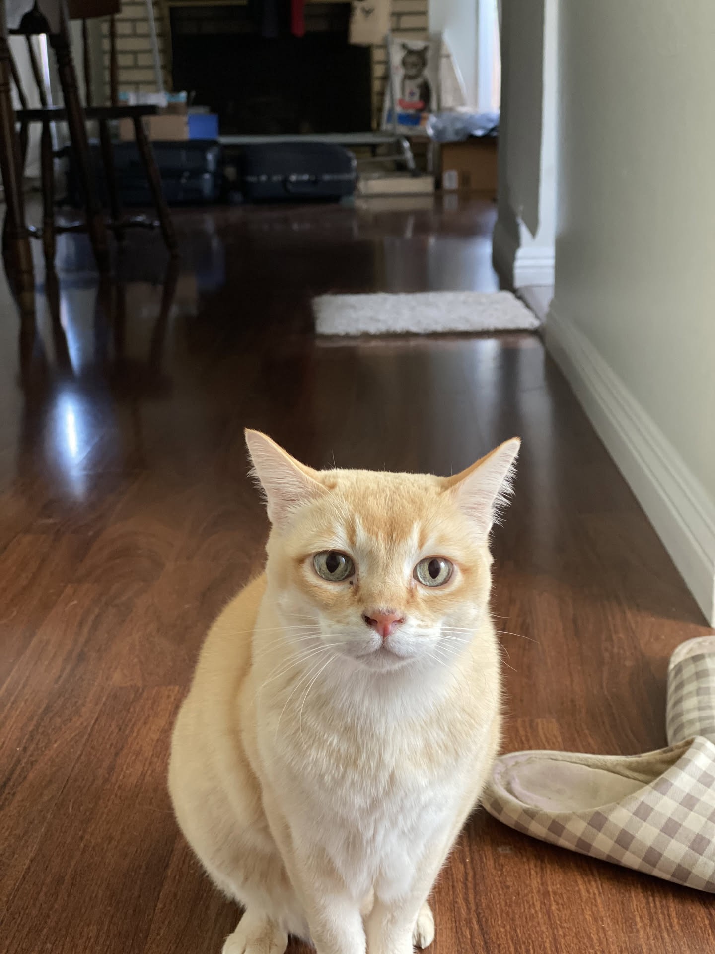 Mon Mon sitting in the hallway near his bed